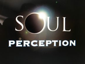 Soul Perception with 2 Brothers Southwestern Food Truck