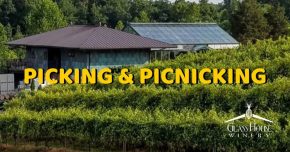 Picking and Picnicking!